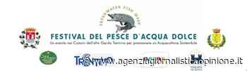 " ASSOCIAZIONE CLUB SAPORI" * “FESTIVAL PESCE D'ACQUA DOLCE”: « OGGI A NAGO-TORBOLE LO SHOW - agenzia giornalistica opinione