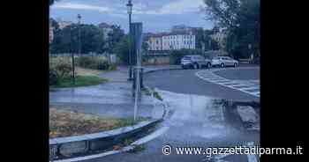 Crisi idrica... ma non per tre impianti d'irrigazione a Parma - Video e foto - Gazzetta di Parma