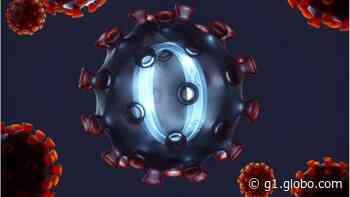 Pirassununga e Rio Claro têm 2 mortes por Covid-19; São Carlos registra 608º óbito - Globo