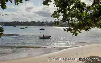 Na tarde de domingo, protagonista da praia foi o pescador de Guarapari - Revista Globo Rural