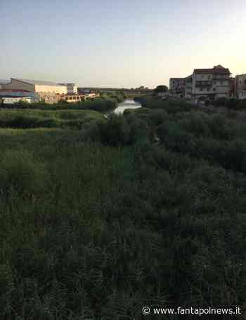 Crotone: Il fiume Esaro come la foresta amazzonica! - Fantapol News