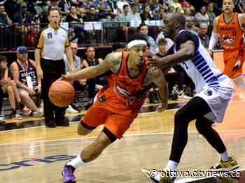 Ottawa BlackJacks sign Canadian guard Tyrrel Tate - Ottawa.CityNews.ca