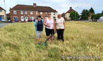 Fed-up locals pay for gardener to cut 'knee high' grass on council land - Express