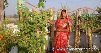 Bihar’s Home Gardener Uses PVC Pipes To Harvest 5 KG of Organic Veggies Every Week - The Better India
