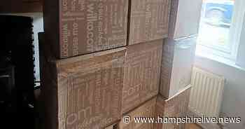 Gardener slams Wilko for 'ridiculous waste' over delivery sent in 10 giant boxes - creating seven-foot wall in her home - Hampshire Live