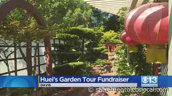 Gardener Opens Door To Public For Fundraiser - CBS Sacramento