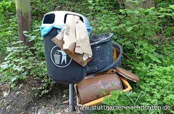 Abfälle falsch entsorgt: Müll verschandelt weiter die Kommunen - Stuttgarter Nachrichten