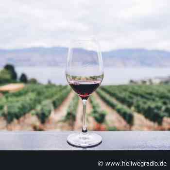 Winzermarkt in Soest beginnt - Hellweg Radio