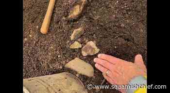 Indigenous artifacts found during Horseshoe Bay Park redevelopment - Squamish Chief