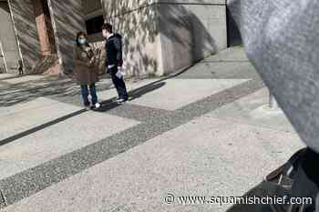 Fatal kitten beating nets B.C. man four months in jail - Squamish Chief