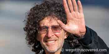 Does Howard Stern Wear a Wig? - We Got This Covered