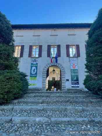 Il Museo della Ceramica di Cerro a Laveno si trasforma in un cinema all'aperto - VareseNoi.it