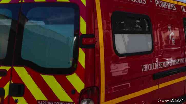 Nice : un petit réfugié ukrainien de 5 ans décède après avoir été percuté par une trottinette - TF1 INFO