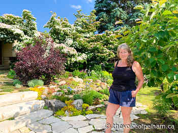 Beautification Committee thanks Stella St. gardener | - The Voice of Pelham