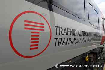 Animals on Welshpool railway track causes train delays - Wales Farmer