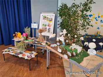 So schützen Schüler aus dem Landkreis Stade das Klima - Landkreis Stade - Tageblatt-online