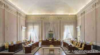 Consiglio provinciale, entrano Marco Bachi e Irene Tarabella - Luccaindiretta - LuccaInDiretta