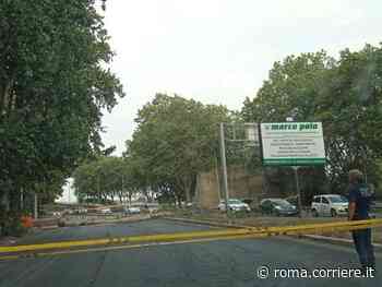 Albero si abbatte su viale Marco Polo e colpisce due auto: un ferito non grave. Indagini su tutte le piante - Corriere Roma
