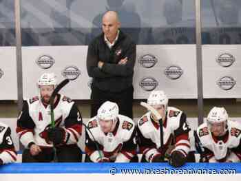 Jets targetting Tocchet for vacant head coaching position - Exeter Lakeshore Times-Advance