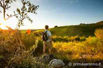 Toscana, sulle orme degli antichi pellegrini - Prima Saronno