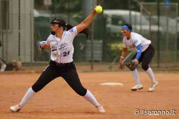 Softball serie A1, al Saronno lo “spareggio” con Pianoro per il secondo posto - ilSaronno