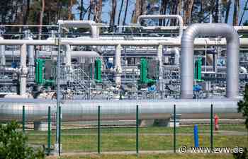 Gaskrise: Energiekonzern Uniper ruft nach Staatshilfen - Zeitungsverlag Waiblingen