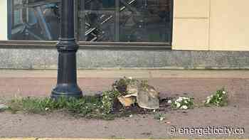 Downtown flower baskets in Dawson Creek vandalized - Energeticcity.ca - Energeticcity.ca