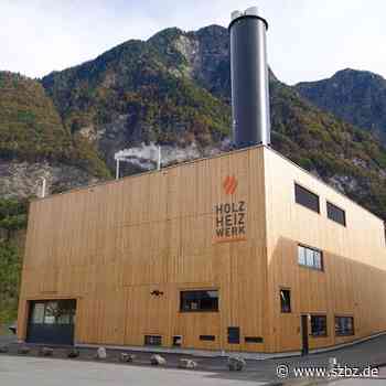 Sindelfingen: Stadtwerke planen Biomasse-Heizwerk | SZ/BZ - Sindelfinger Zeitung / Böblinger Zeitung