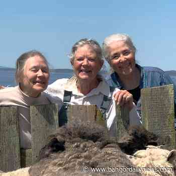 Schoodic Arts for All fiber arts exhibit - Bangor Daily News