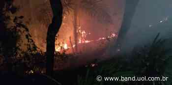 Vídeo: Incêndio atinge vegetação no Alto do Capivari, em Campos do Jordão - Band Jornalismo