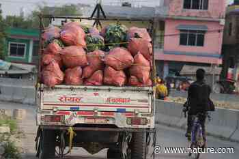 Food transport emissions matter - Nature.com