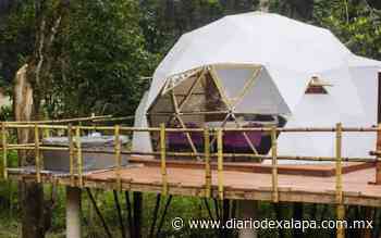 En Coatepec encontrarás estas bonitas casas domo para acampar y relajarte en medio de la naturaleza - Diario de Xalapa