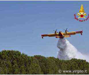 Incendio nel Brindisino, in fumo macchia mediterranea - Virgilio