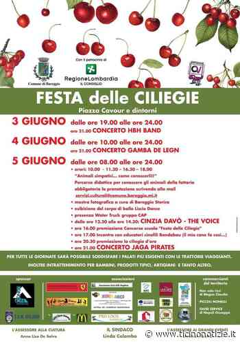 Bareggio: conto alla rovescia per la "Festa delle Ciliegie" - Ticino Notizie