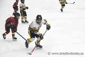 Bradford, Innisfil minor hockey associations eye merger - BradfordToday