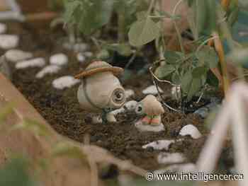 Film review: Marcel the Shell with Shoes On - The Intelligencer