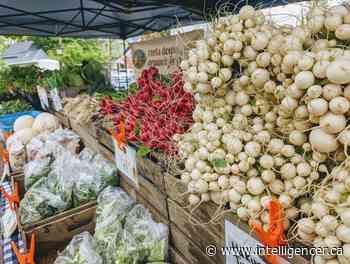 Memorial Centre farmers' market in 'full force' a decade after start - The Intelligencer