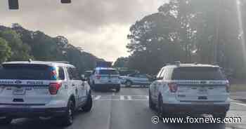 Georgia family dispute leaves multiple people stabbed, Savannah police say - Fox News