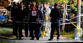 Police Eye Domestic Violence in Upper East Side Killing of Mother - The New York Times