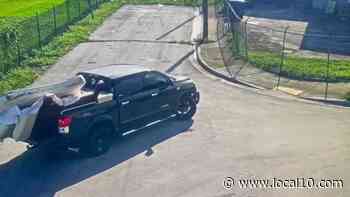 Men in pickup trucks involved in 4 environmental crimes in Miami, police say - WPLG Local 10