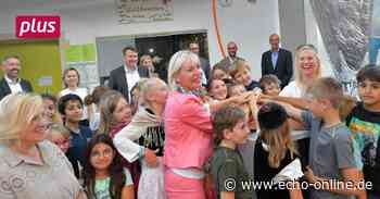 Schnelleres Internet für Schulen im Kreis Bergstraße - Echo Online