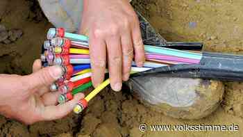 DNS:Net-Kunden ohne Internet: Störung in Wanzleben, Oschersleben und der Westlichen Börde seit Samstag - Volksstimme