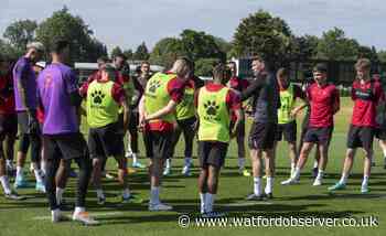 Edwards pleased with Watford's pre-season progress to date