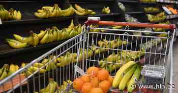 Riemst motiveert inwoners opnieuw om lokaal te kopen met spaarkaartenactie - Het Laatste Nieuws