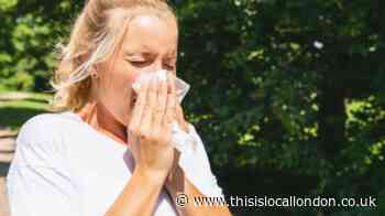 Hay fever sufferers rave over £4 'miracle cure' tablets found in Asda, Tesco and Boots