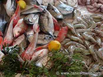 Alimenti privi di tracciabilità: sequestro per stabilimento balneare di San Leone - Canicatti Web Notizie