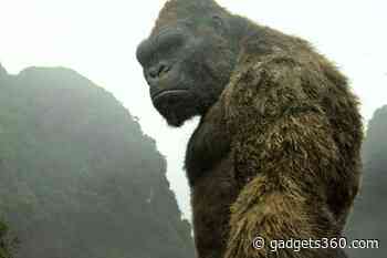 Godzilla vs. Kong 2 Release Date Set for March 2024. Dune: Part Two Delayed a Month