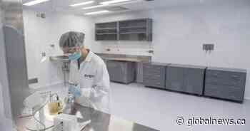 New vaccine facility opens in Saskatchewan - Global News