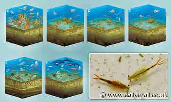 Shrimps and worms were the first animals to recover after the 'Great Dying'