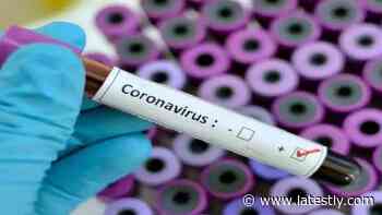 COVID-19: New Patch Test Can Detect Coronavirus Antibodies Within 3 Minutes - LatestLY